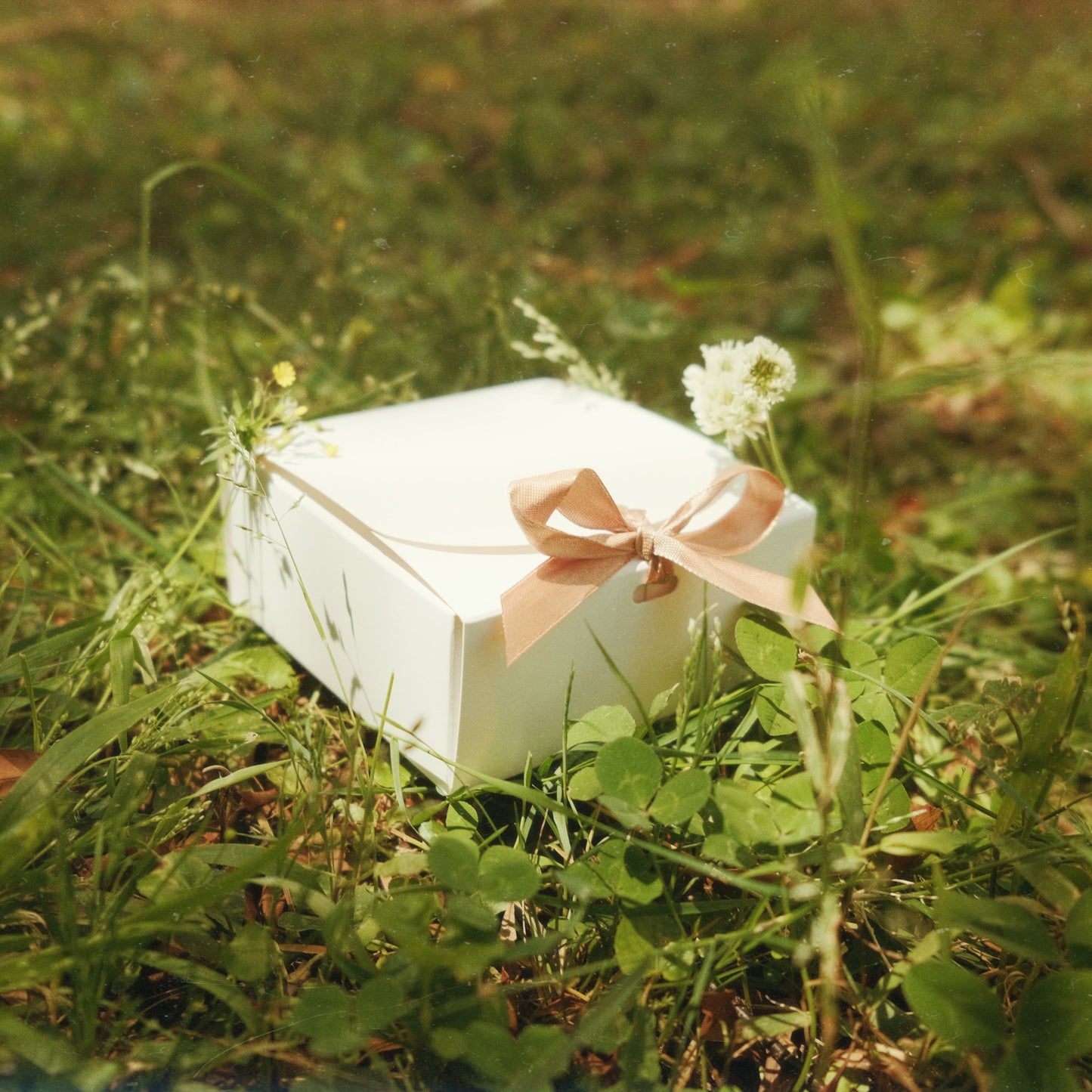 5 Day Rejuvenation Trial